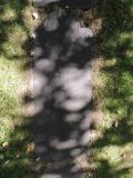 image of grave number 764114